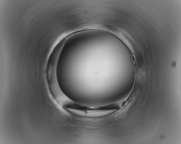 X0000097911005200803141414