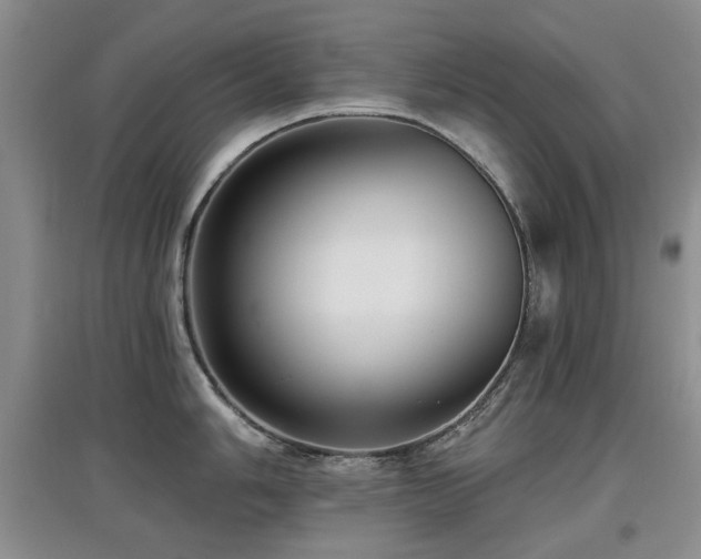 X0000097911006200803141414