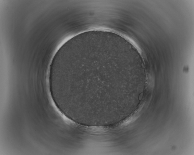 X0000097911007200803141414