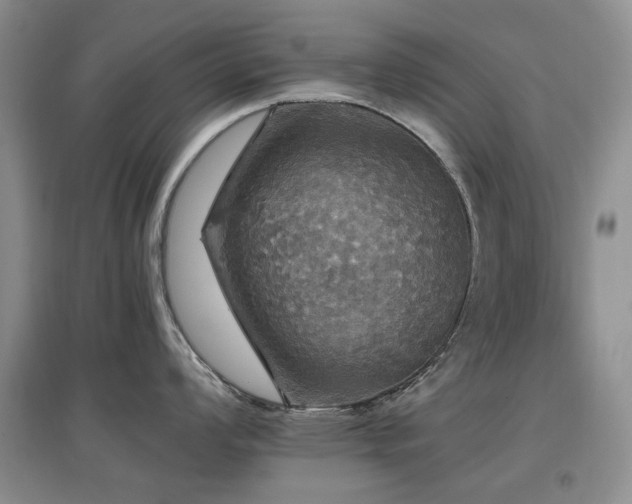 X0000097911008200803141414