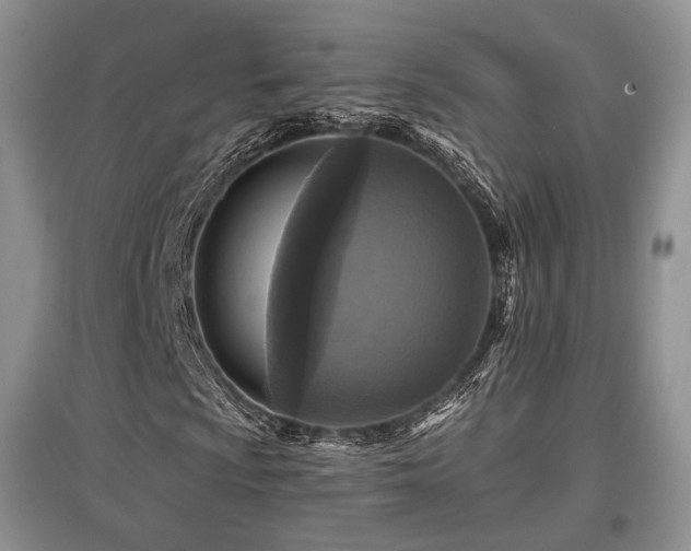 X0000097911009200803141413