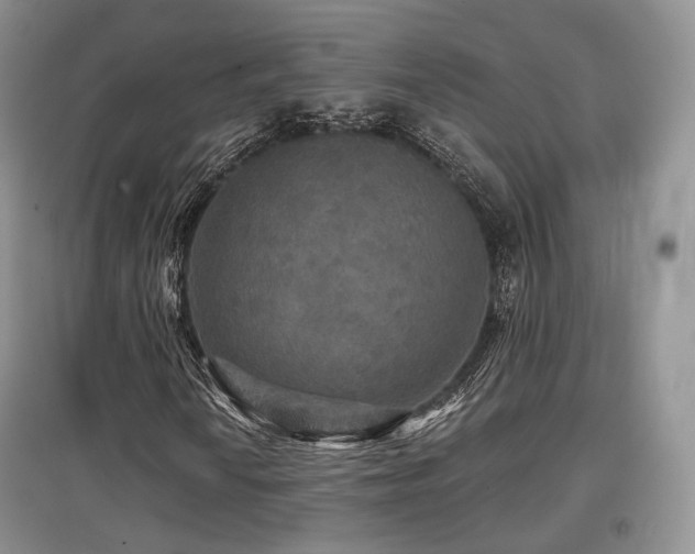 X0000097911010200803141413