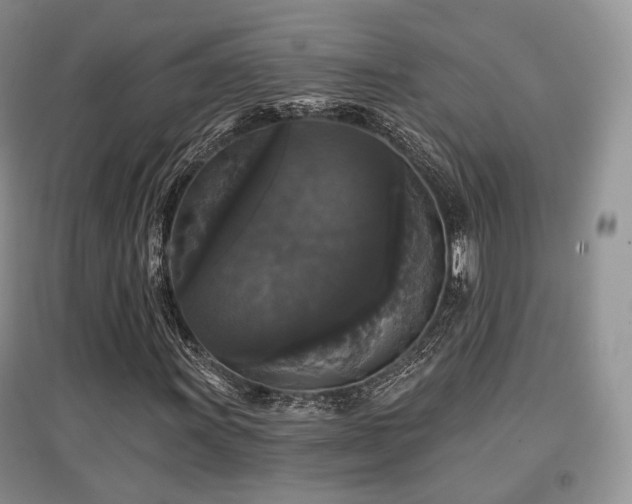 X0000097911011200803141413