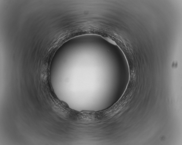 X0000097911012200803141413