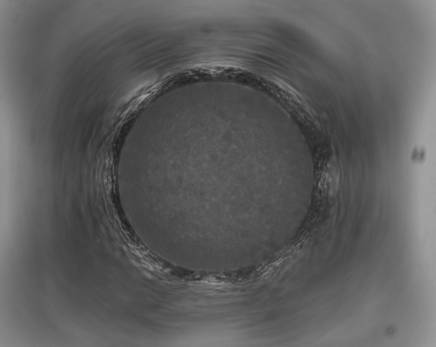 X0000097911014200803141413