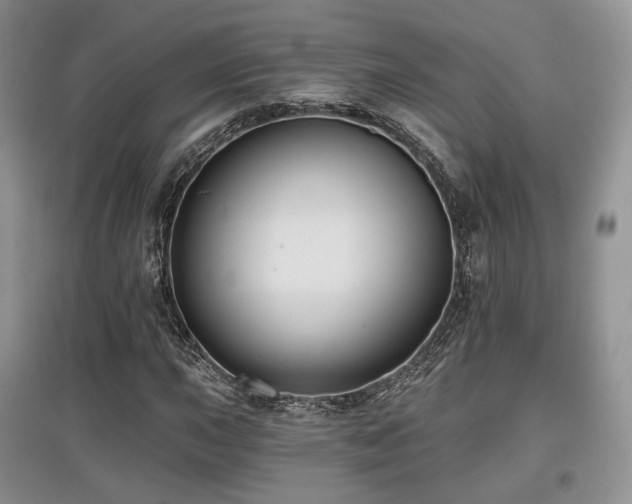 X0000097911015200803141413