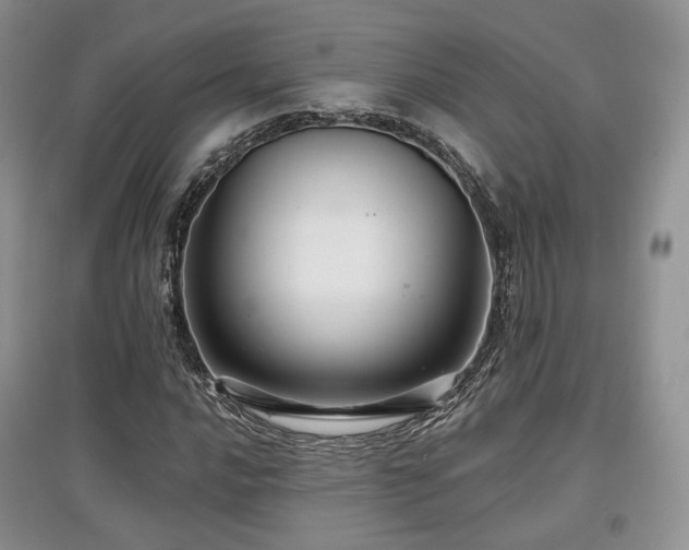 X0000097911016200803141413