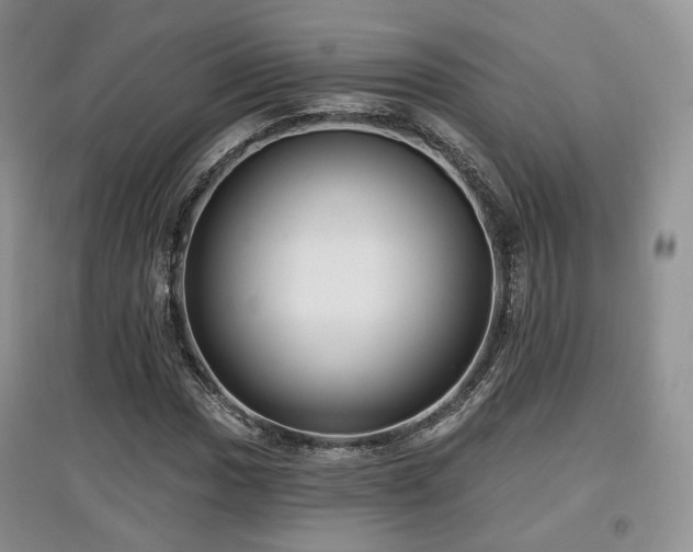 X0000097911017200803141413