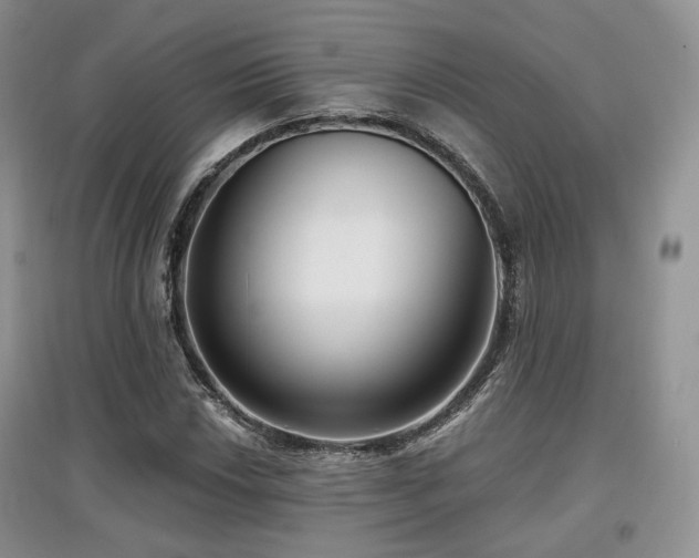 X0000097911018200803141413