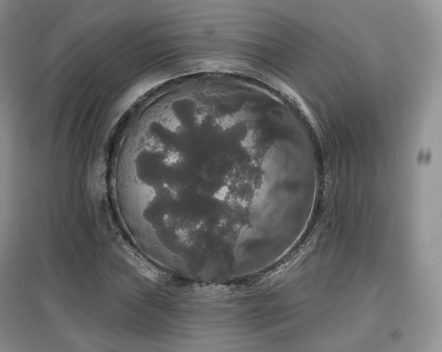 X0000097911019200803141414