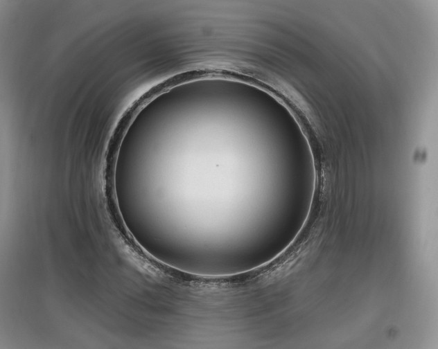 X0000097911020200803141414