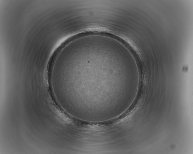 X0000097911022200803141414