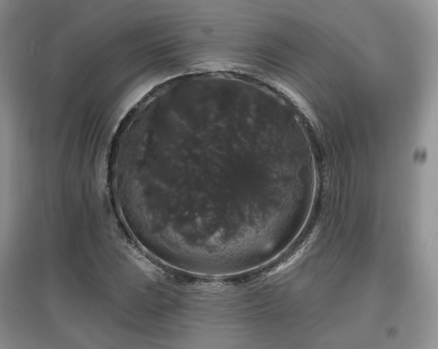 X0000097911023200803141414