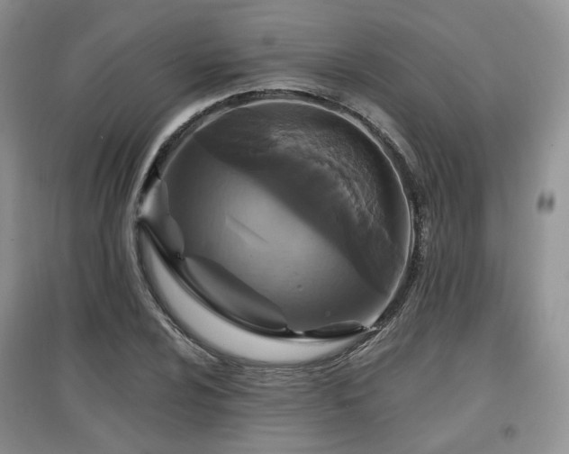 X0000097911024200803141414