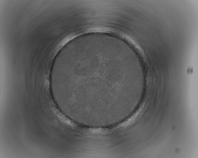 X0000097911025200803141414