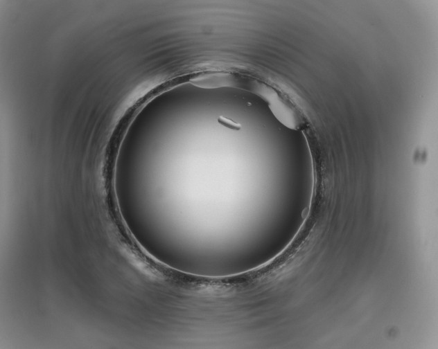 X0000097911026200803141414