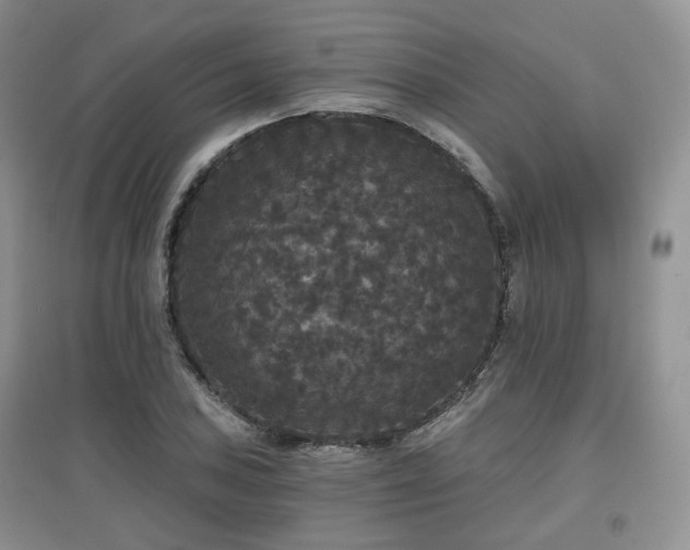 X0000097911027200803141414