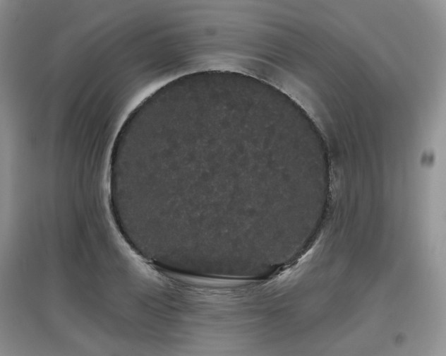 X0000097911028200803141414