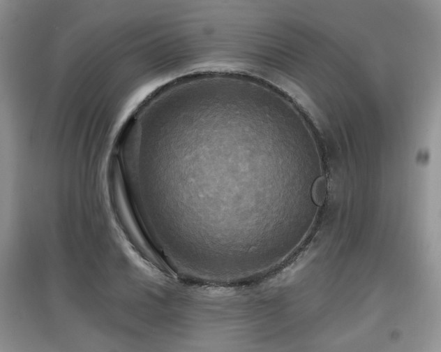 X0000097911030200803141414