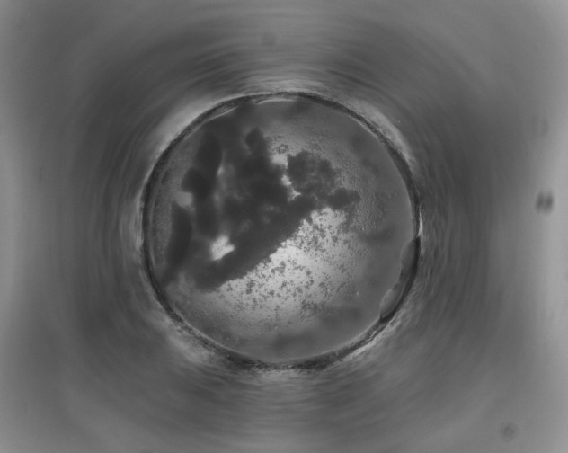 X0000097911031200803141414