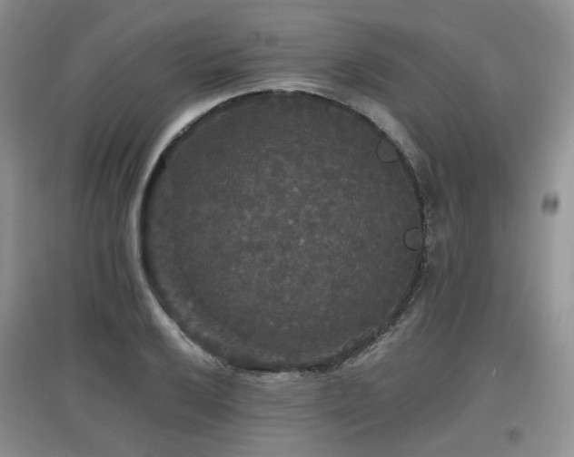 X0000097911032200803141414