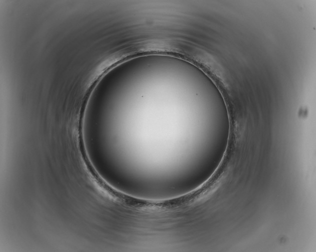 X0000097911033200803141414