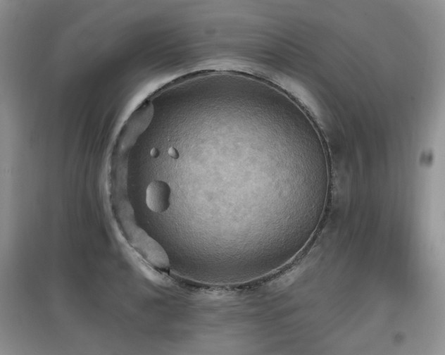 X0000097911040200803141414