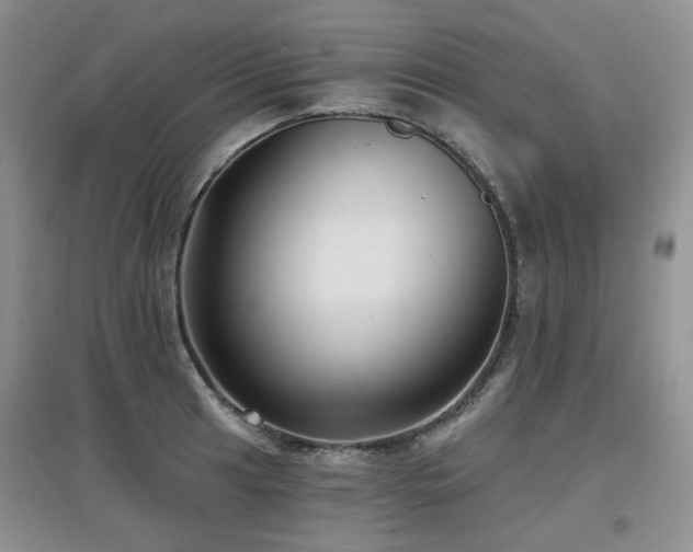 X0000097911041200803141414