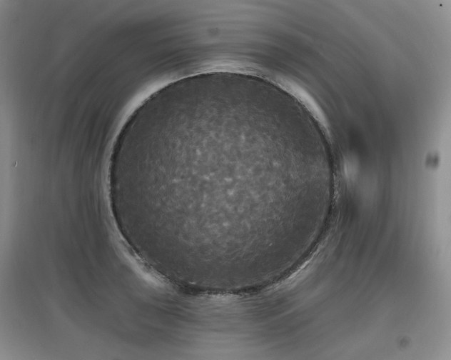 X0000097911043200803141414