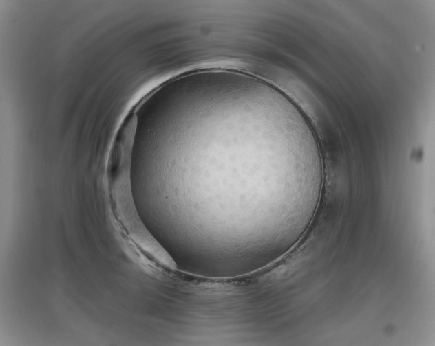 X0000097911044200803141414