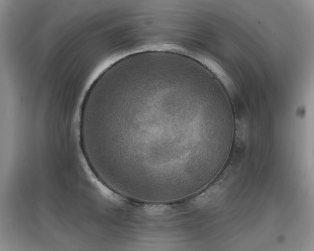 X0000097911046200803141414