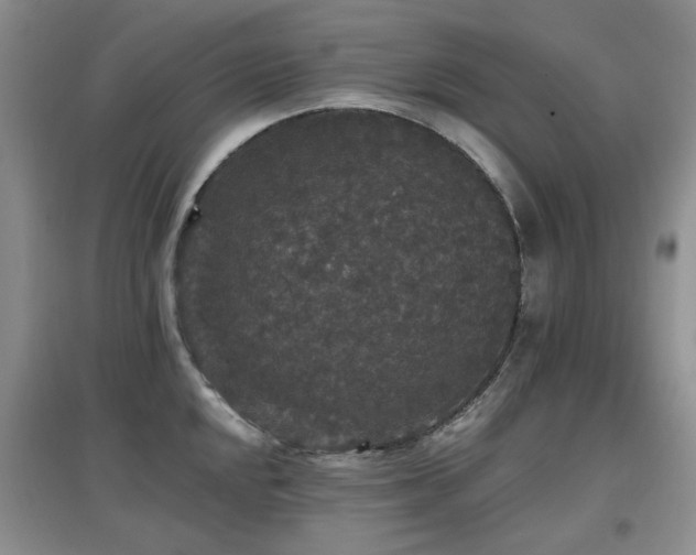 X0000097911048200803141414