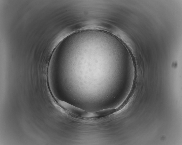 X0000097911049200803141414