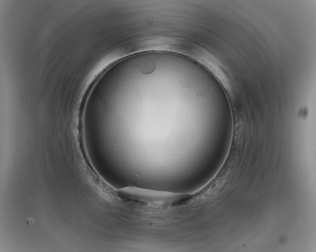 X0000097911051200803141414