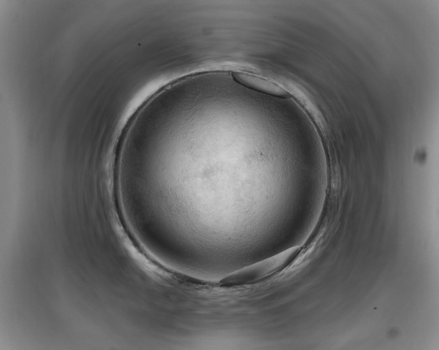 X0000097911054200803141414