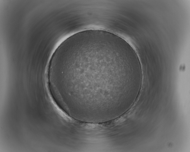 X0000097911056200803141414