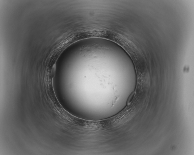 X0000097911058200803141413