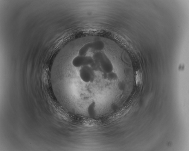 X0000097911059200803141413