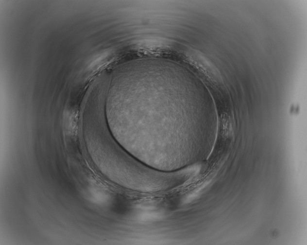 X0000097911060200803141413