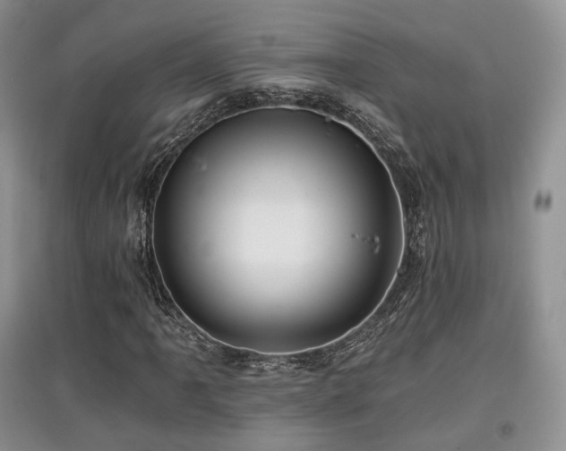 X0000097911061200803141413