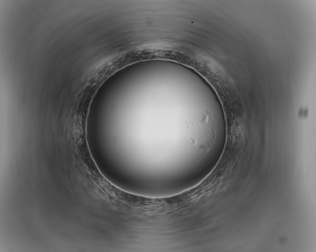 X0000097911062200803141413