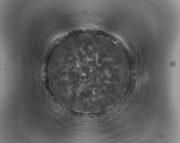 X0000097911063200803141413