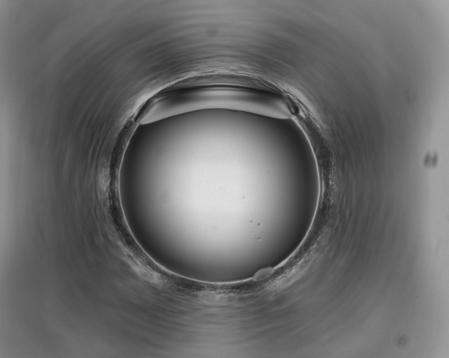 X0000097911065200803141413