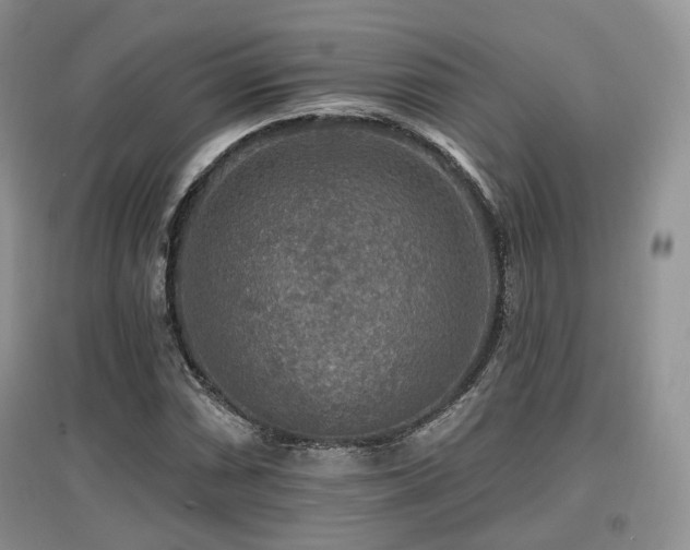 X0000097911066200803141413