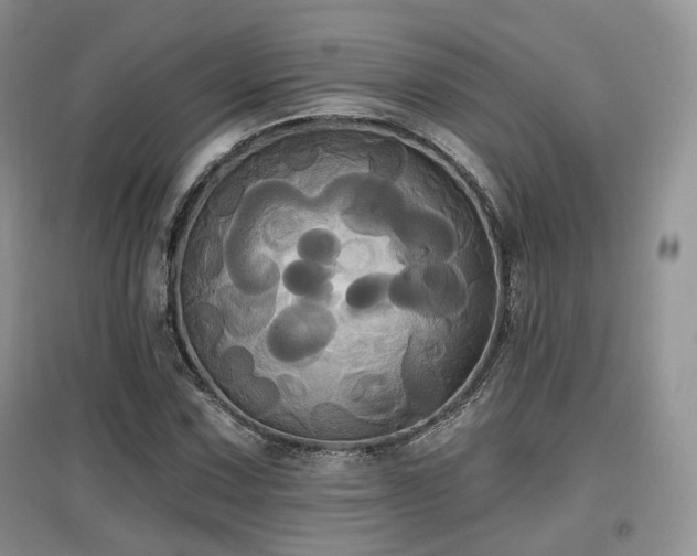 X0000097911067200803141413