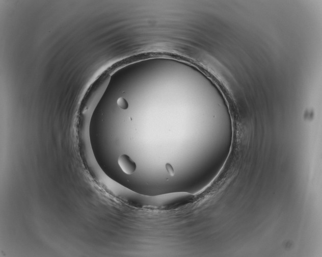 X0000097911068200803141413