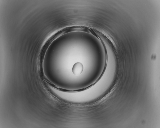 X0000097911069200803141413