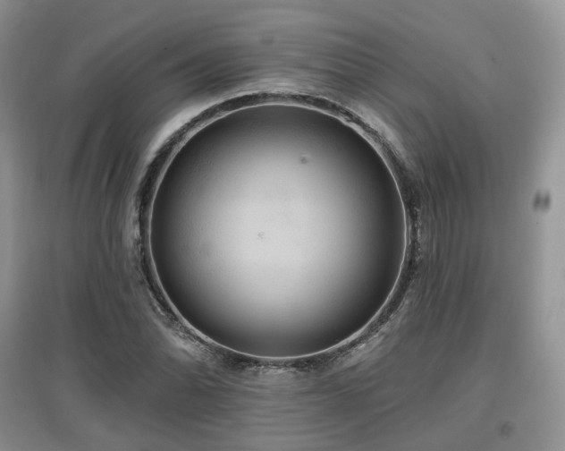 X0000097911070200803141413