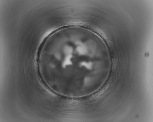 X0000097911071200803141413