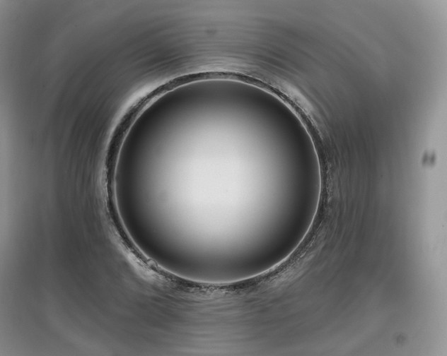 X0000097911072200803141413